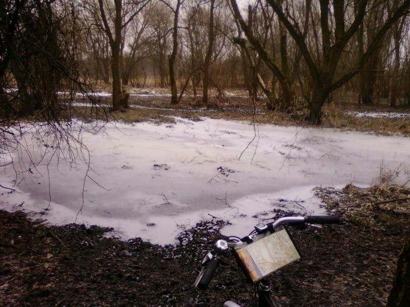 Podmogłe bezdroże