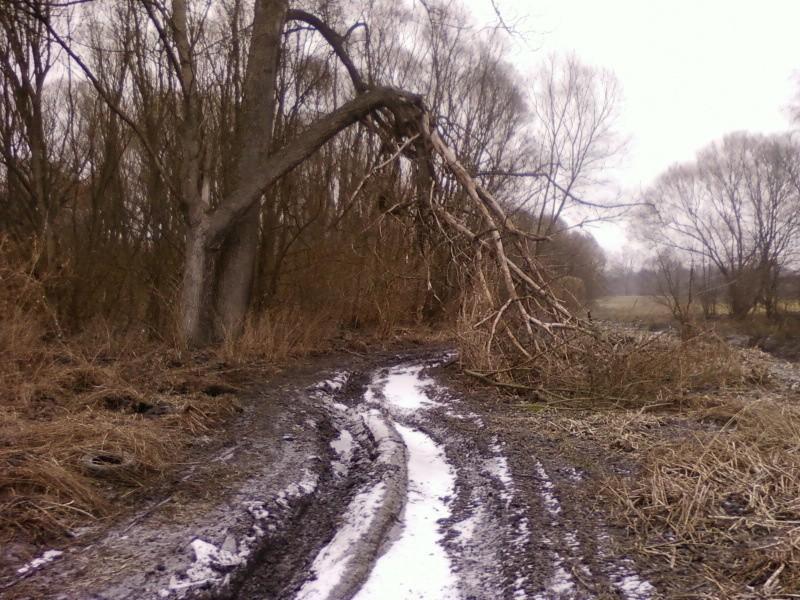 Wzdłuż Neru