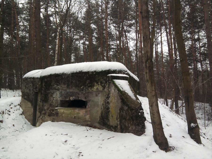 Sikstop z widokiem na schron