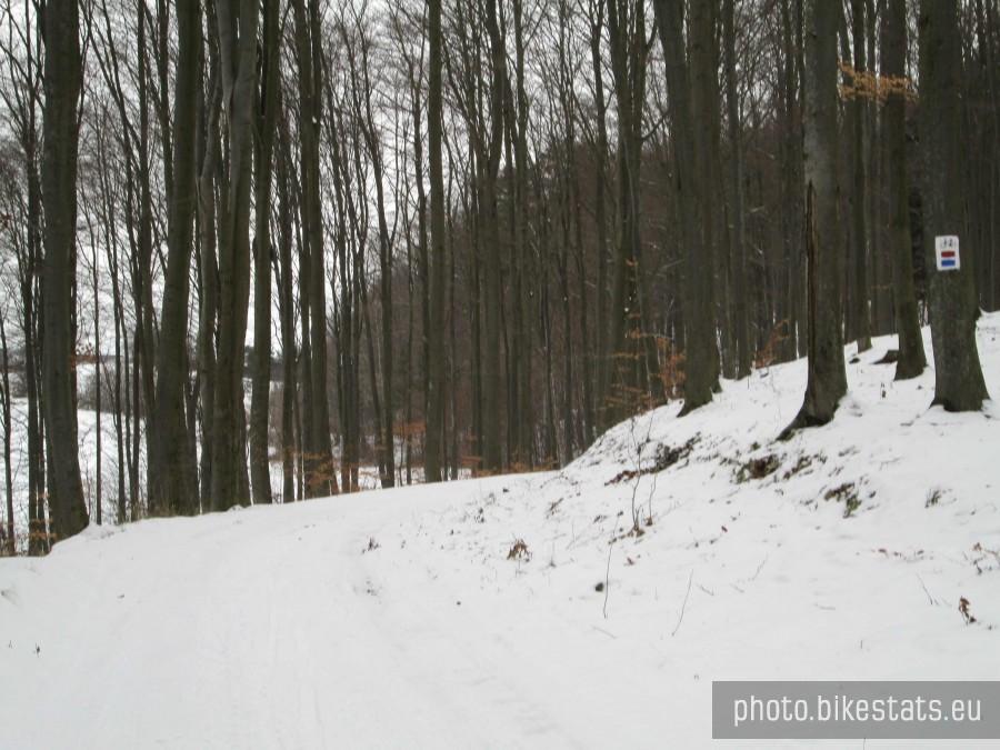 Wracając w stronę domu