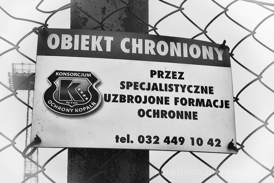 udało się, nie zastrzelili mnie