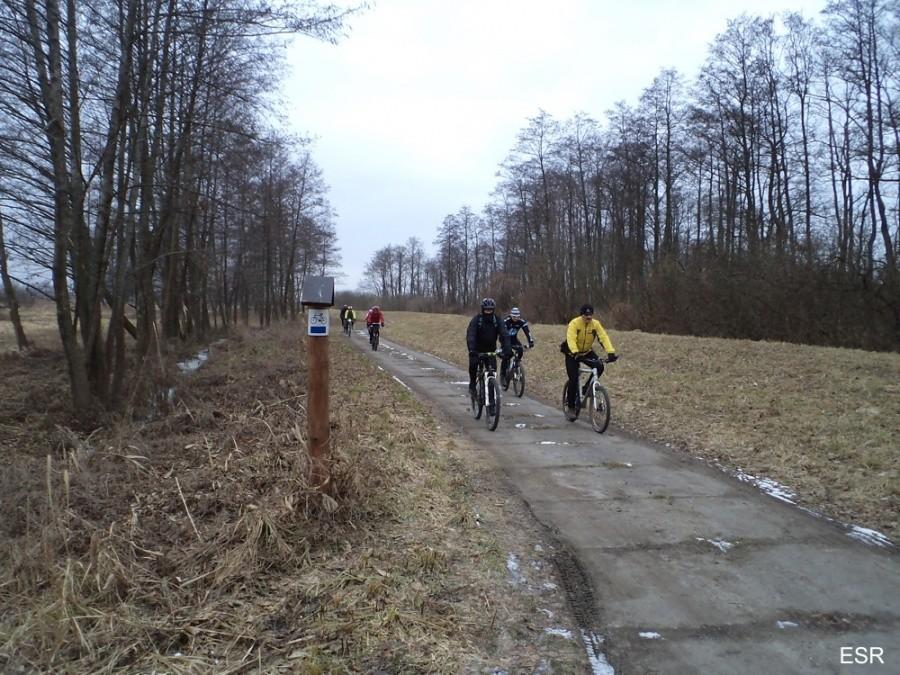 Płyty betonowe wokół Drużna