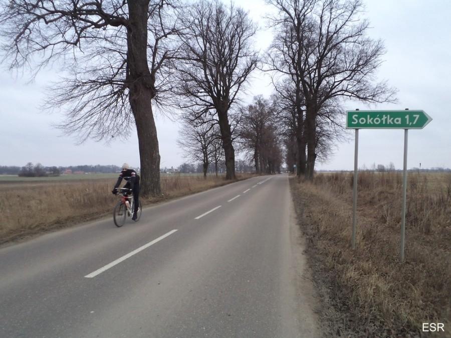 Mikołaj