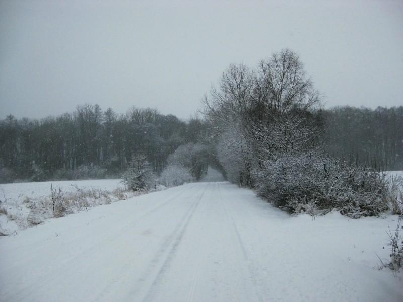 Droga z Wierzonki do Wierzenicy (babica)