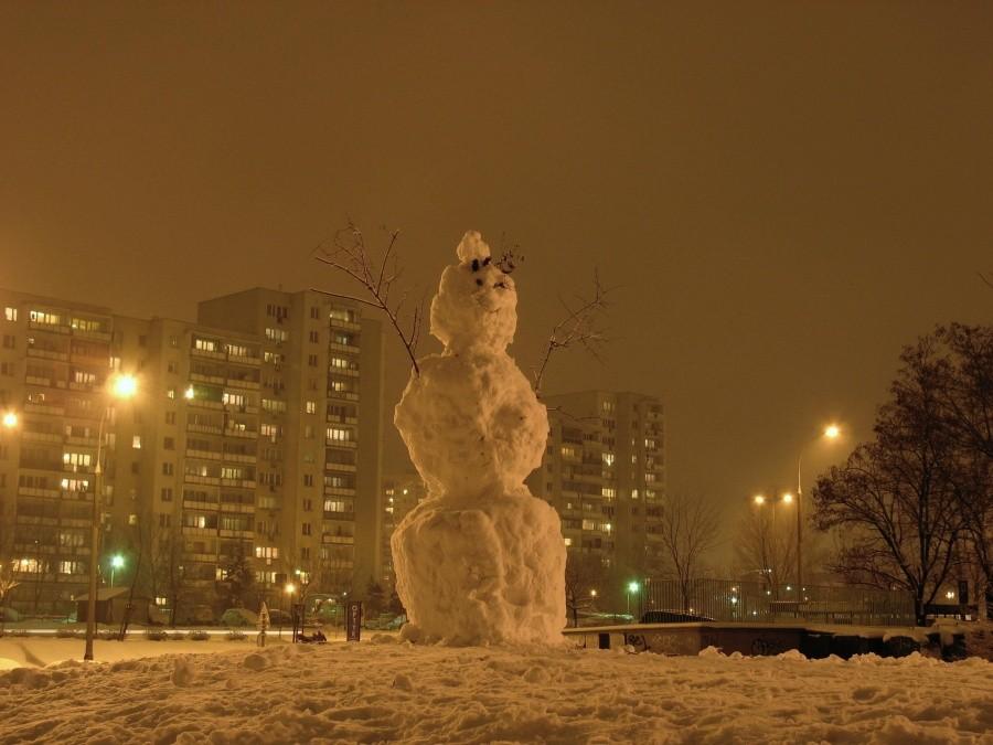 Ursynowski bałwan