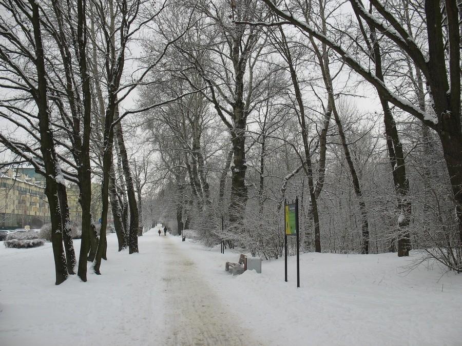 Aleja Kasztanowa