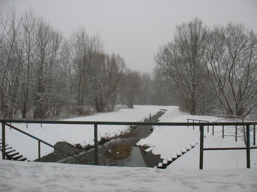 Ursynowski kolektor