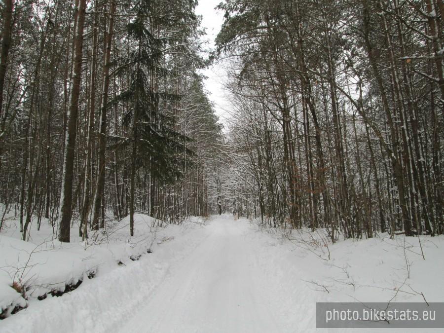 Jadąc w stronę Kiełpina
