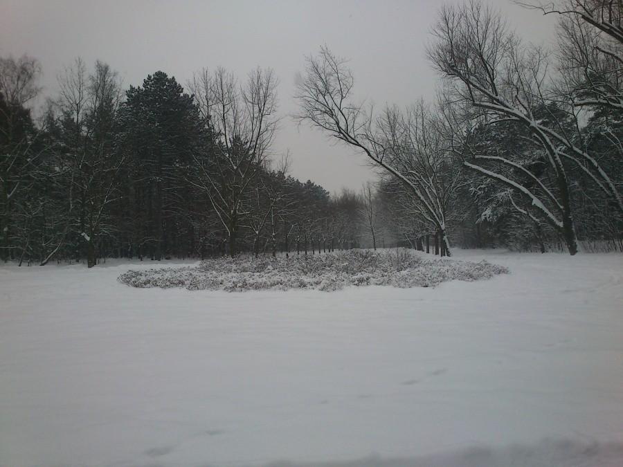 Park na zdrowiu