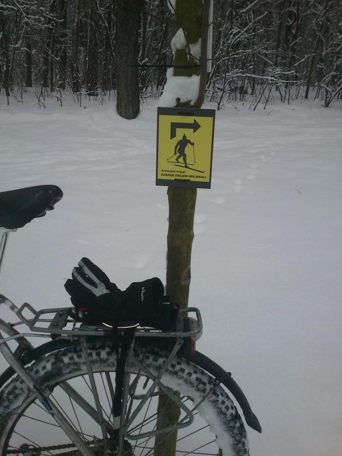 Park biegacza na zdrowiu