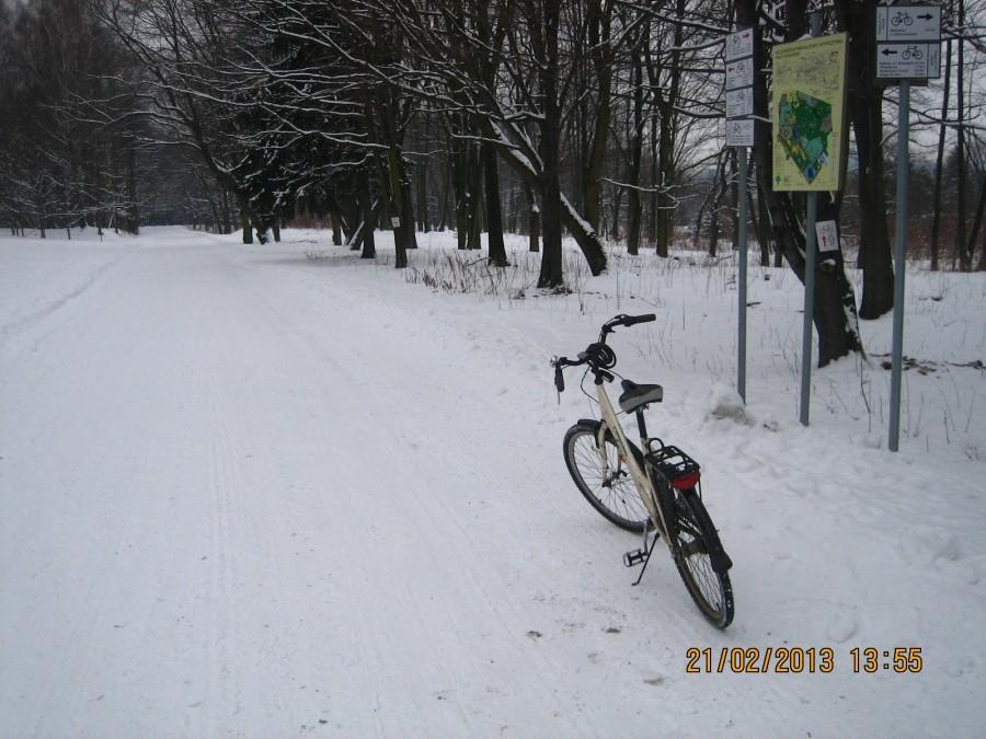 na dużej pętli w Parku Śląskim w pięknej zimowej scenerii