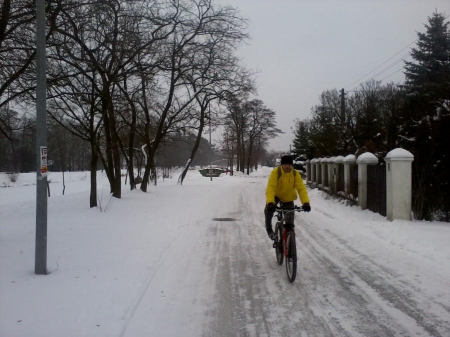 Spacerowym tempem Spacerową a mimo to...