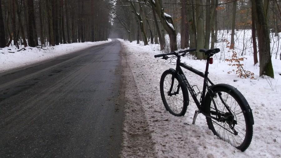 Zimówka w odwilżowej scenerii