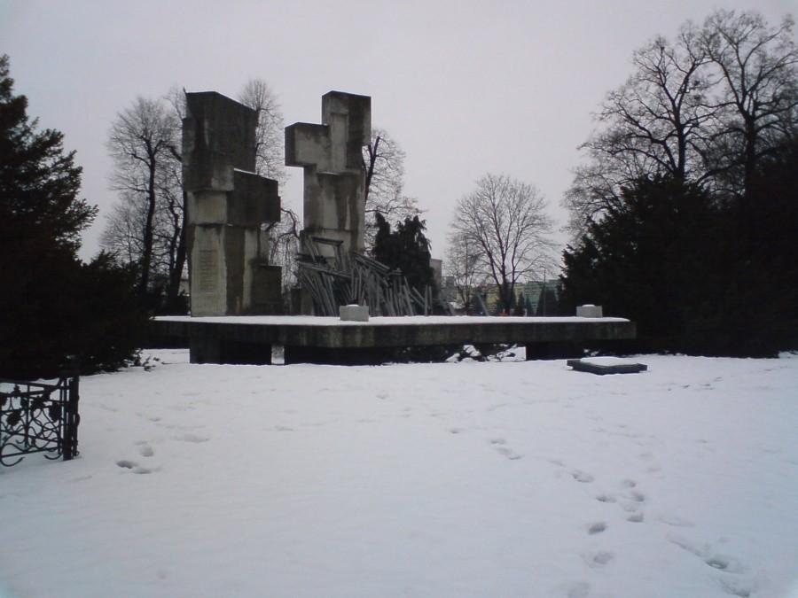Pomnik koło zamku