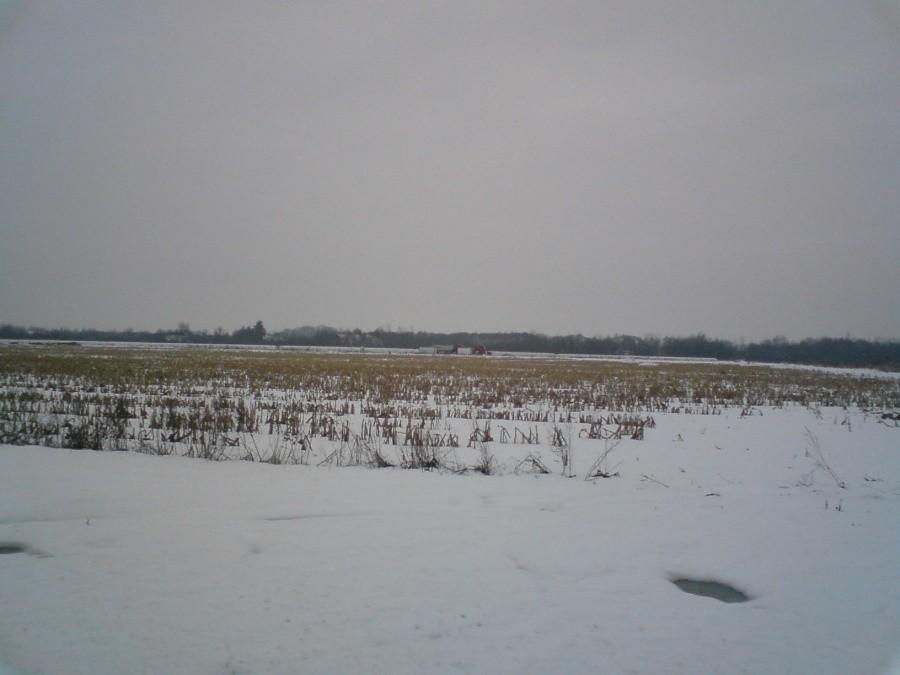 Pas startowy - Skarbimierz