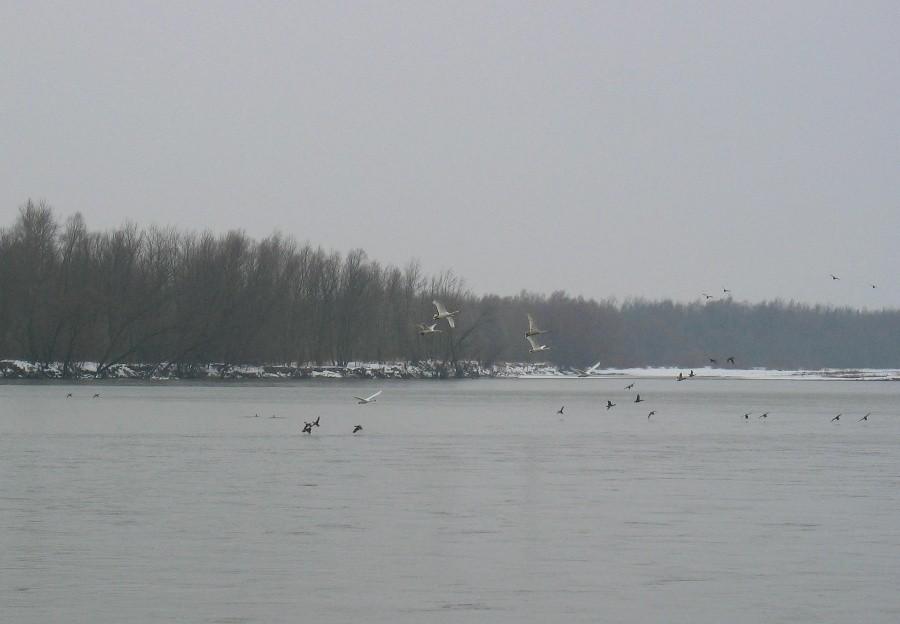 Nad Wisłą w Gassach
