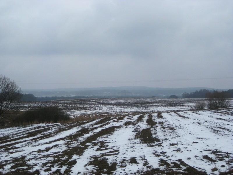 Widok z Radojewa na Dziewiczą Górę