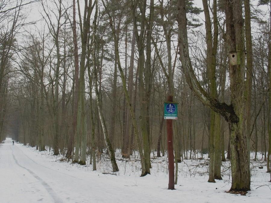 Budki czekają na lokatorów