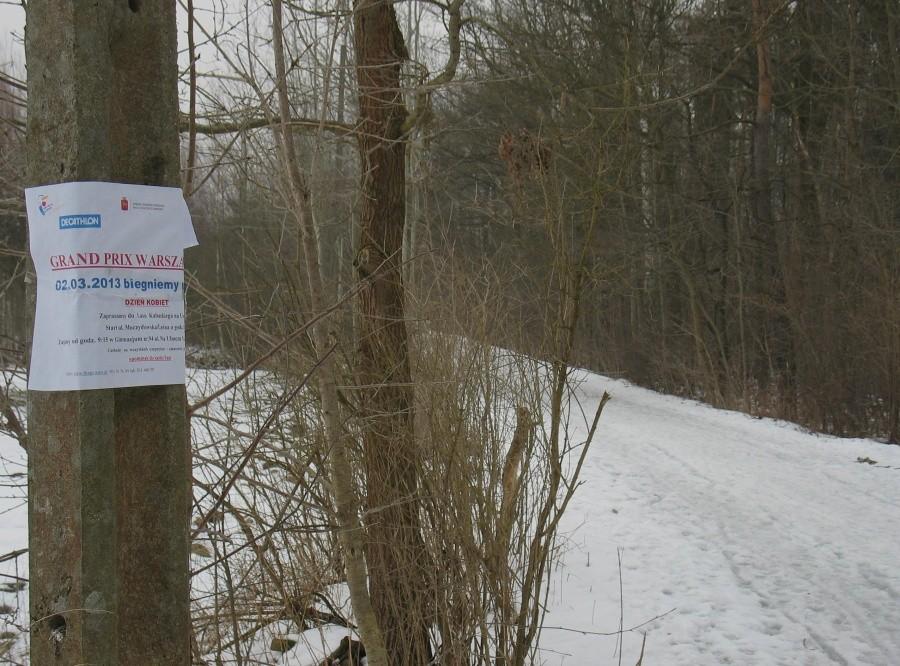 Bieganie na Dzień Kobiet
