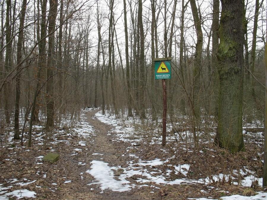 Ostoja zwierzyny