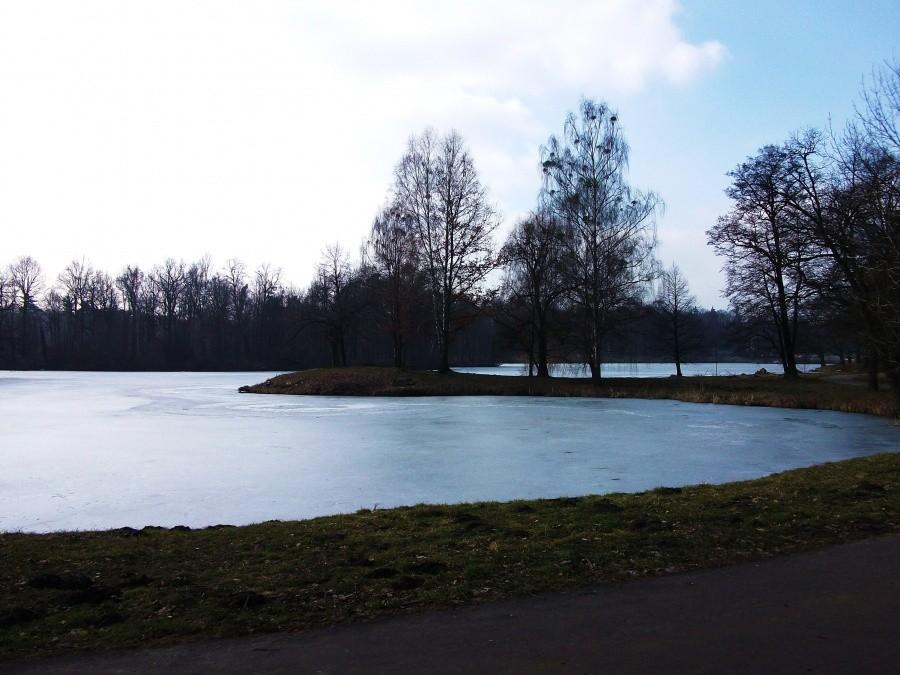 Park Świerklaniecki