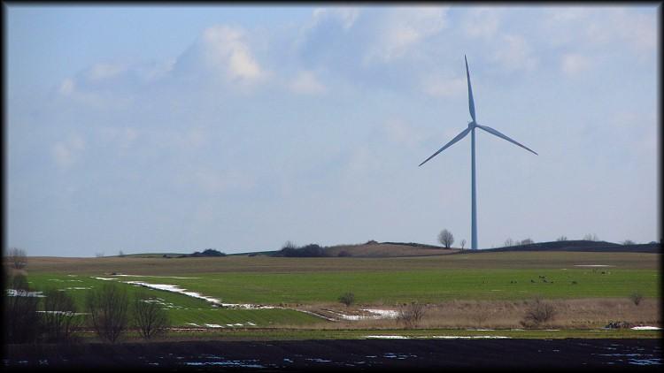 Elektrownia wiatrowa i stado saren
