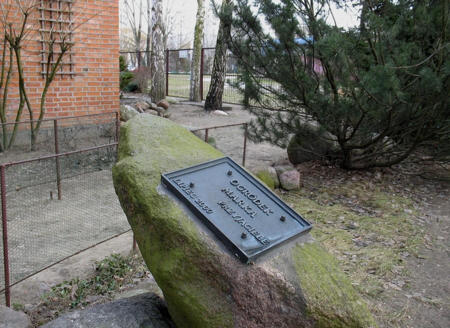 Ogródek Marka