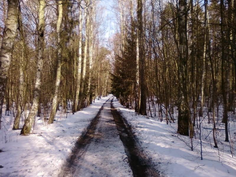 Las Łagiewnicki
