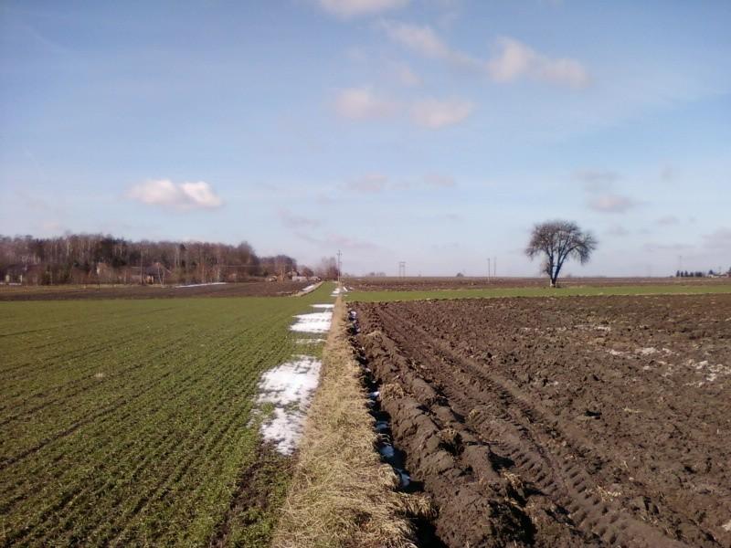 Między polami