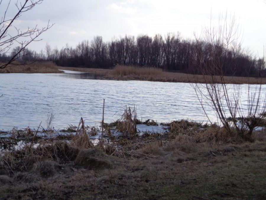 Wisłok...