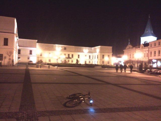 Pałac w Karwinie