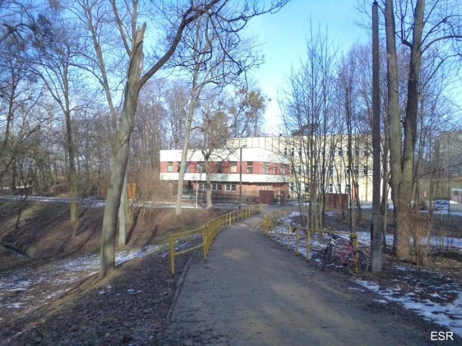Park Modrzewie