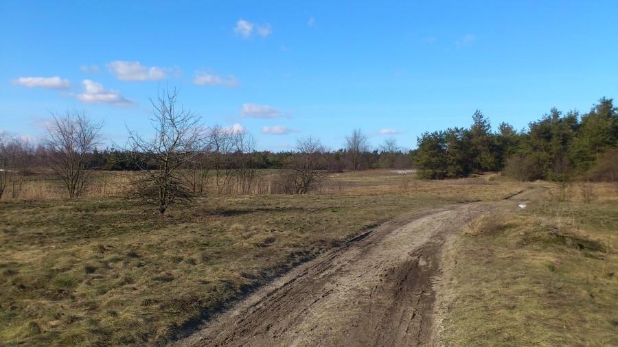 Koło Azotów