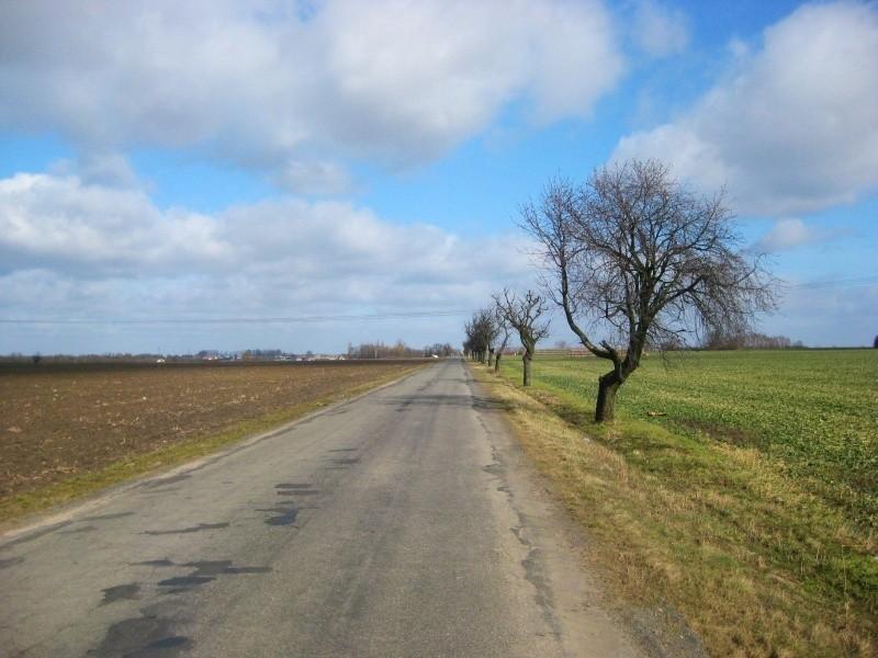 Sarbinowo - Biskupice