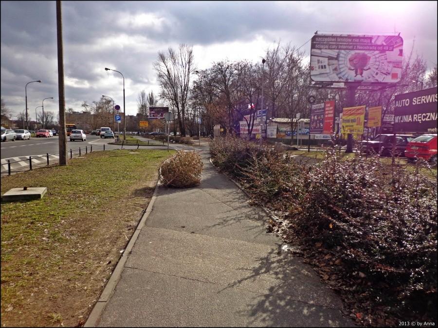 Chce ktoś choinkę? Leży sobie na ścieżce rowerowej na Conrada.