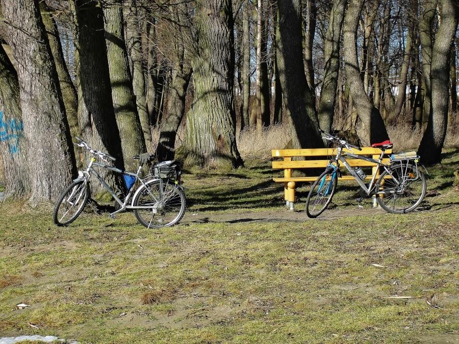 Nasze rowery wygrzewają się na słońcu:)