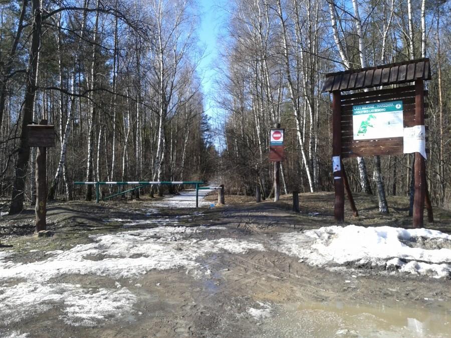 Leśna droga ciągle oblodzona