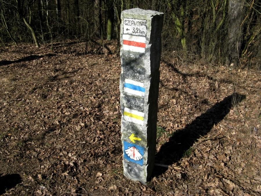 Mnogość ścieżek na Dziewiczej górze