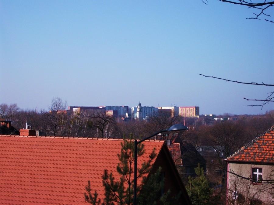 Panorama miechowic