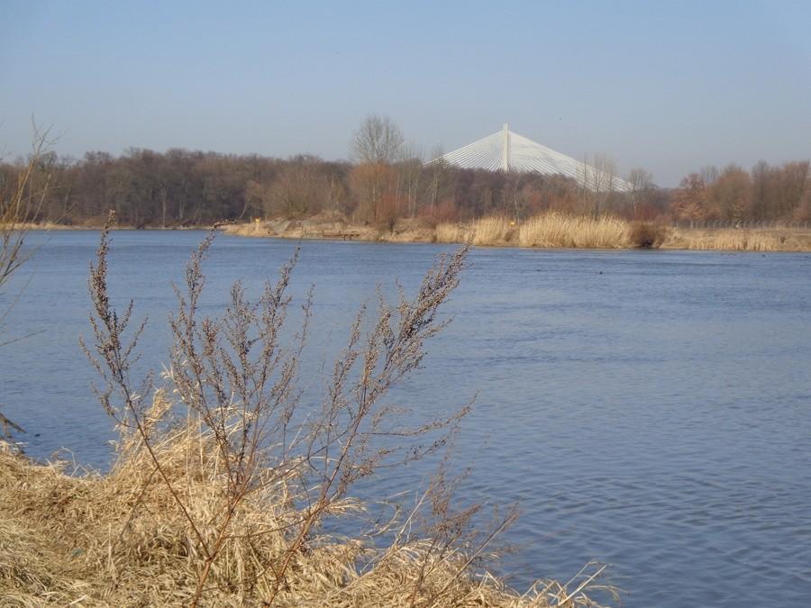 most rędziński