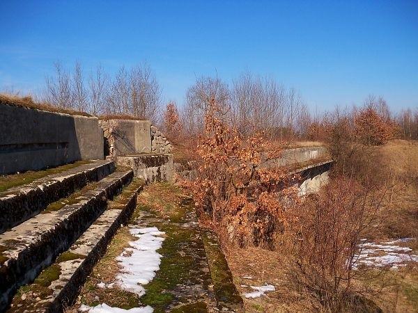 Fort XII Janowo
