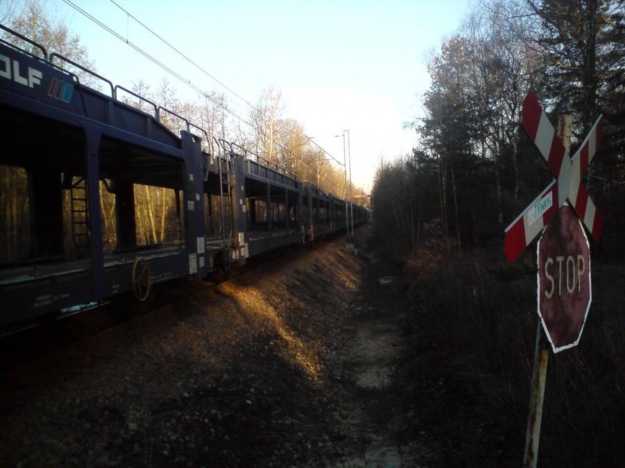 Niespodzianka w lasach na Ochojcu