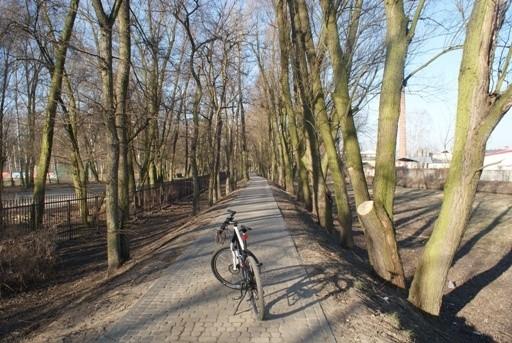 marcową aleją (przelot przez Park Solidarności)