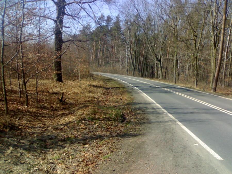 Droga z Rogów do Czyżowic