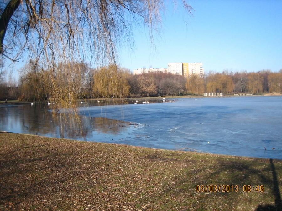 Staw Skałka rozmarza