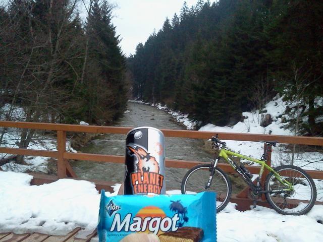 Most na Olzie w Bukowcu