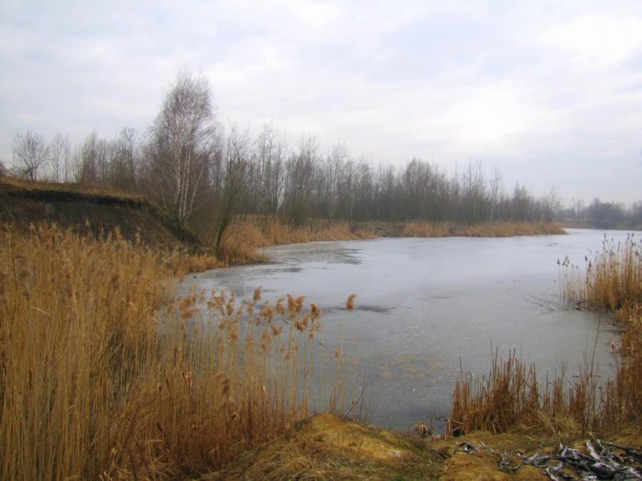 Okolice Bluszczów.