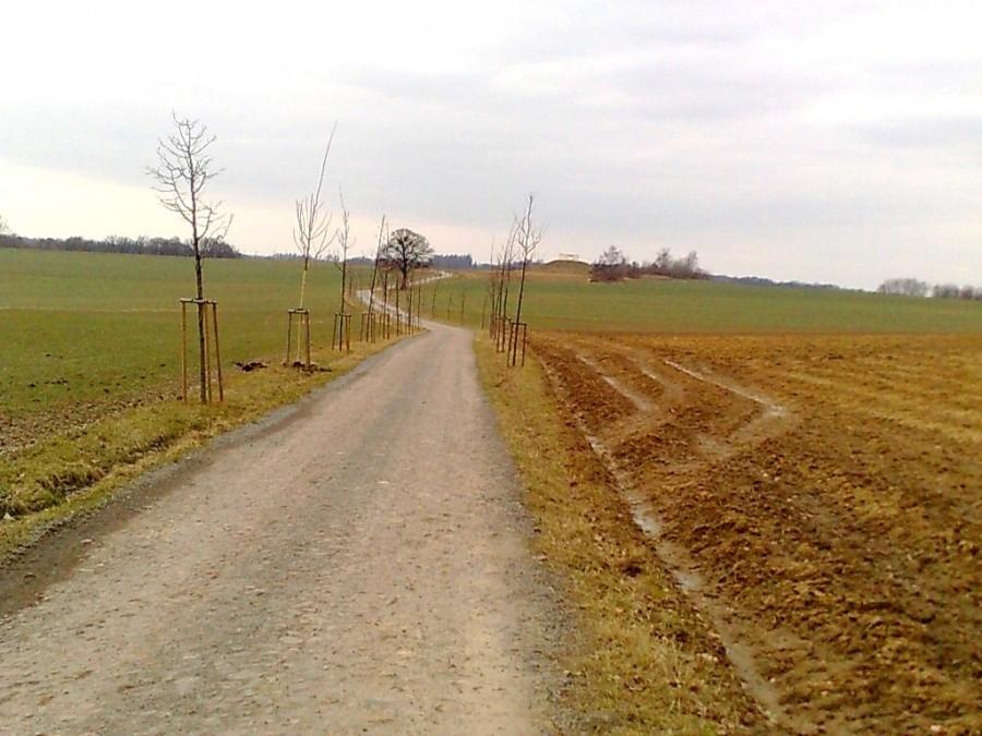 Jadę do Markartovic