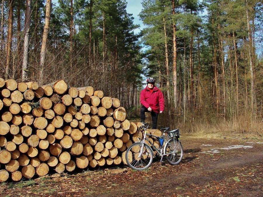 Pierwsze wiosenne klimaty.