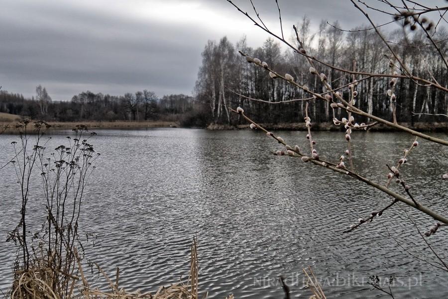 są bazie, będzie wiosna